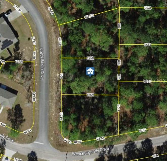 8753 N Raidin Dr., Citrus Springs, FL 34433
