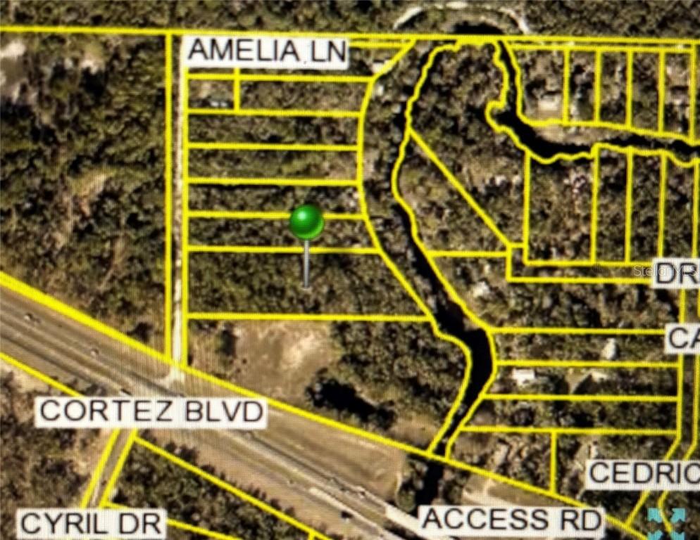 Amelia Ln., Dade City, FL 33523