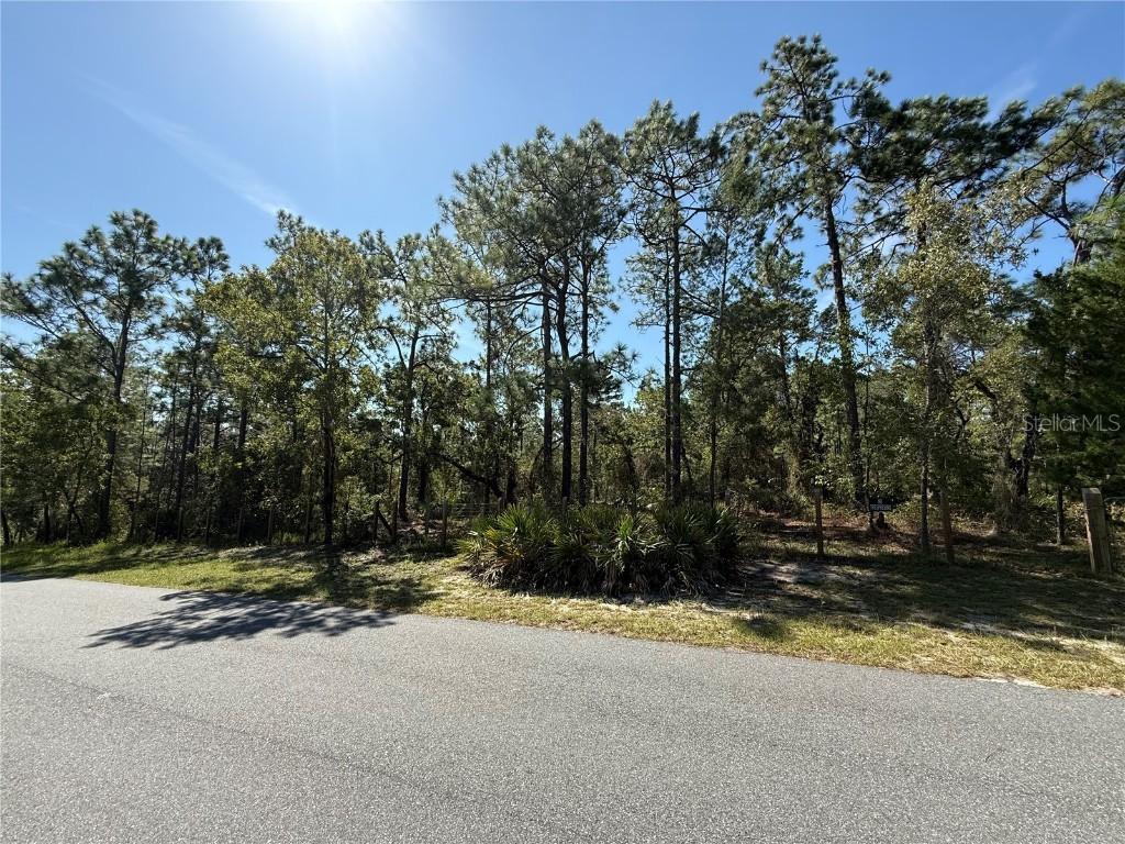 9006 Michigan Ave., Weeki Wachee, FL 34613