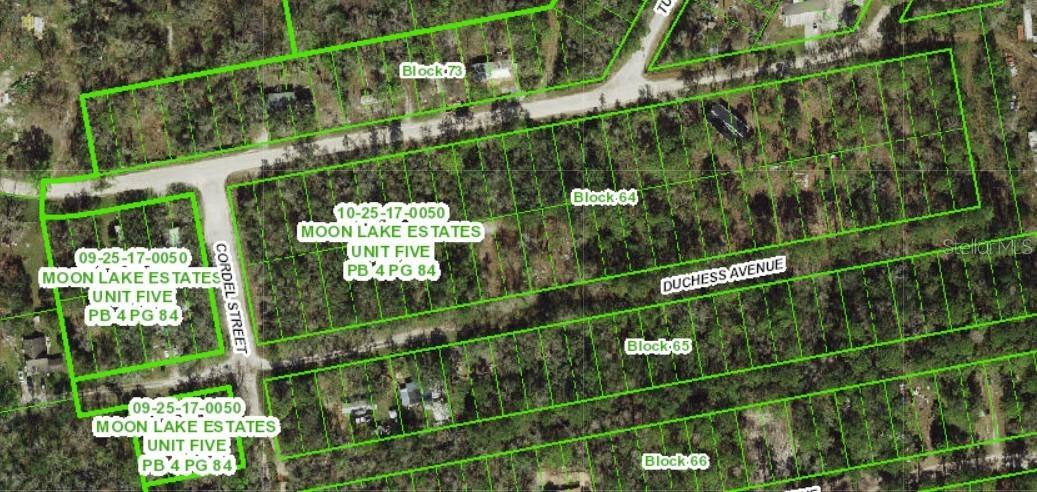 13027 Duchess Ave., New Port Richey, FL 34654