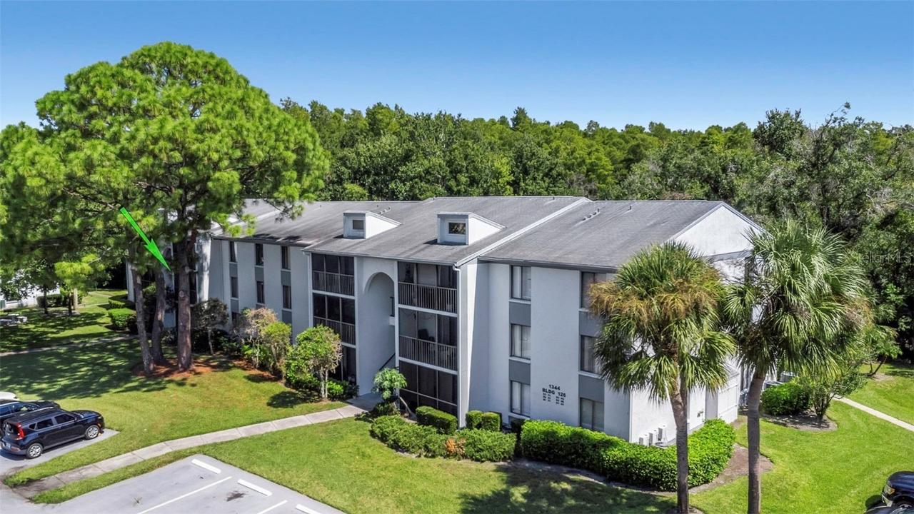 1344 Pine Ridge Cir. #D2, Tarpon Springs, FL 34688