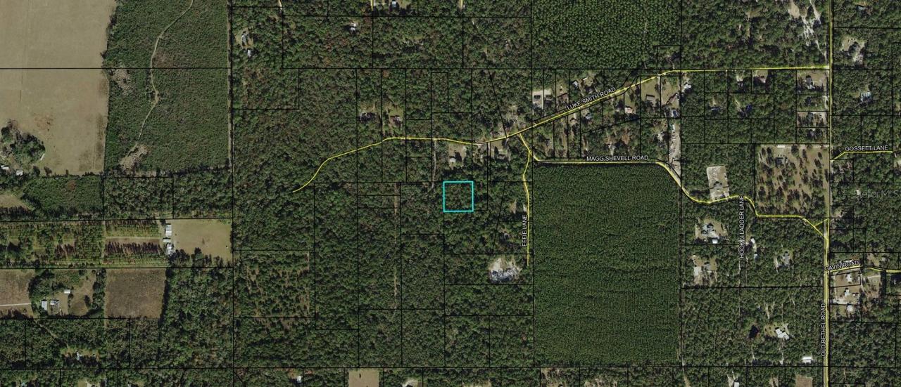 Luke Smith Rd., Crawfordville, FL 32327