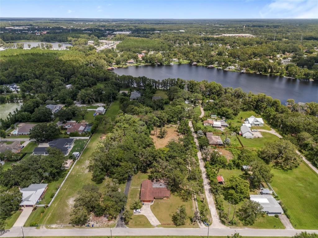 Na, Lutz, FL 33558