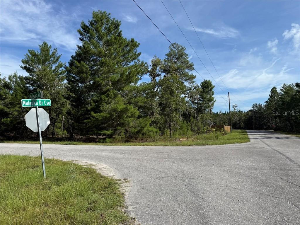 Malauka Tr., Ocklawaha, FL 32179