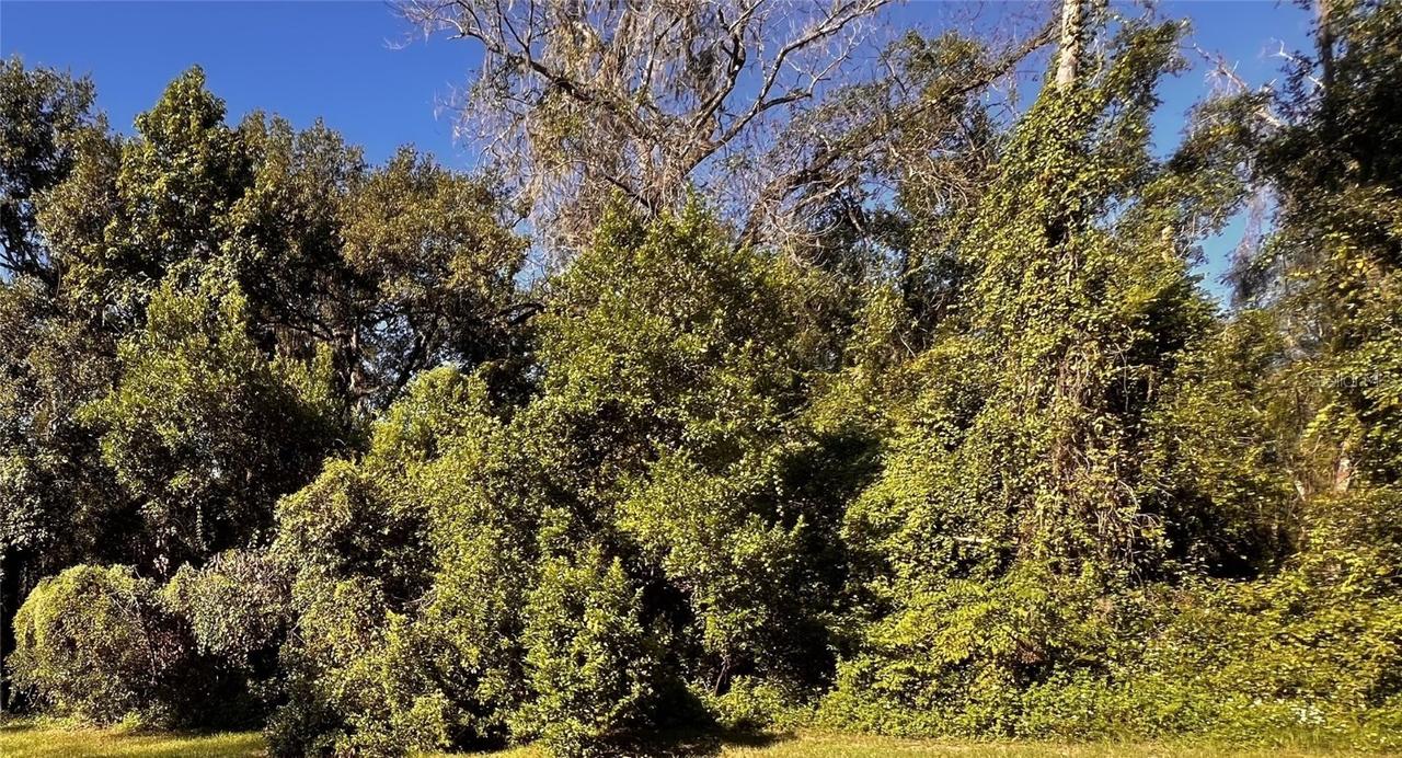 7152 Kenyon Dr., Webster, FL 33597