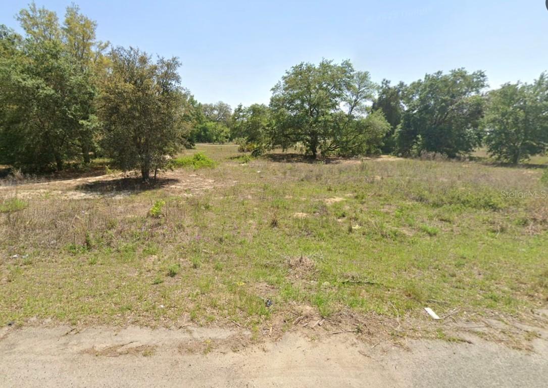 Bay Place Ct., Ocklawaha, FL 32179