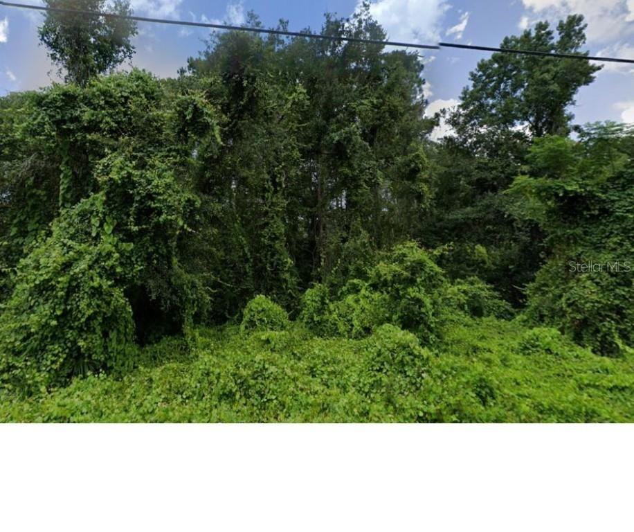 Oconee Blvd., New Port Richey, FL 34654