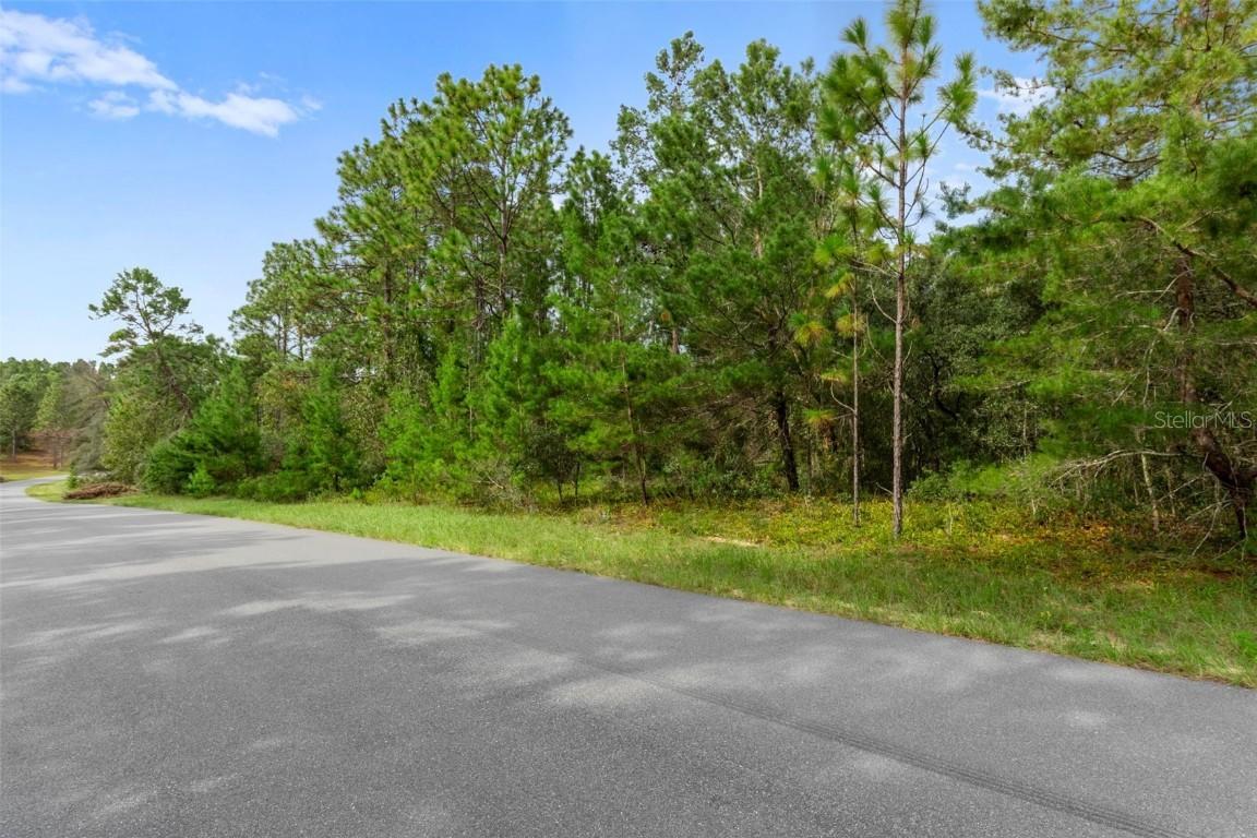 4099 W Malaluka Cir., Citrus Springs, FL 34433