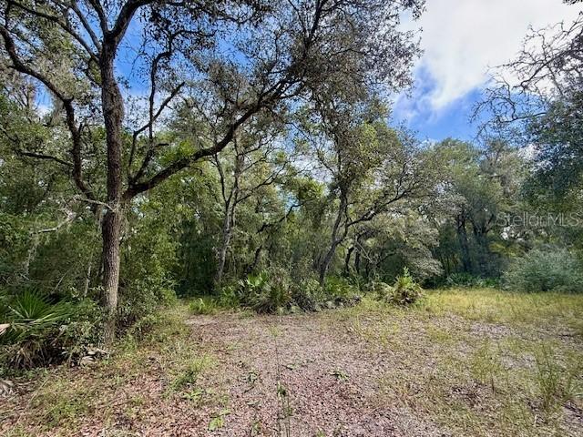 Gresham Rd., Webster, FL 33597