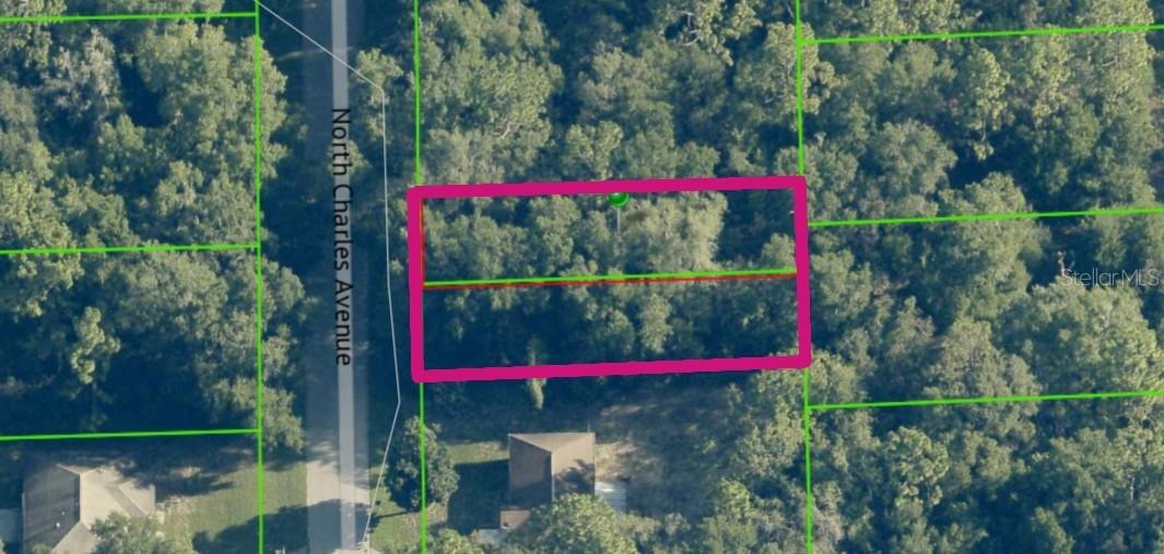 267 N Charles (lots 66 & 67) Ave., Inverness, FL 34453