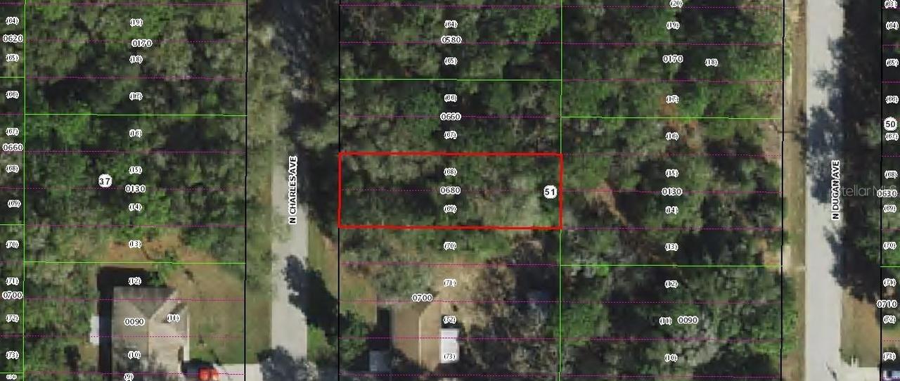 259 N Charles (lots 68 & 69) Ave., Inverness, FL 34453