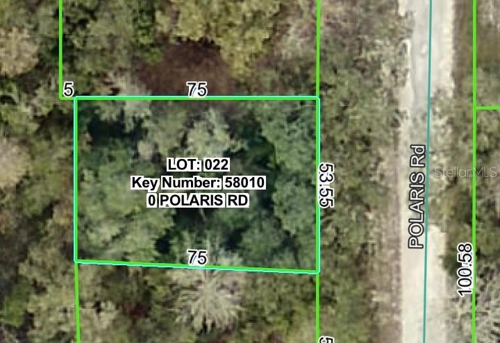 Polaris Rd., Dade City, FL 33523