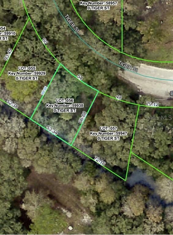 3217 Tiger St., Dade City, FL 33523