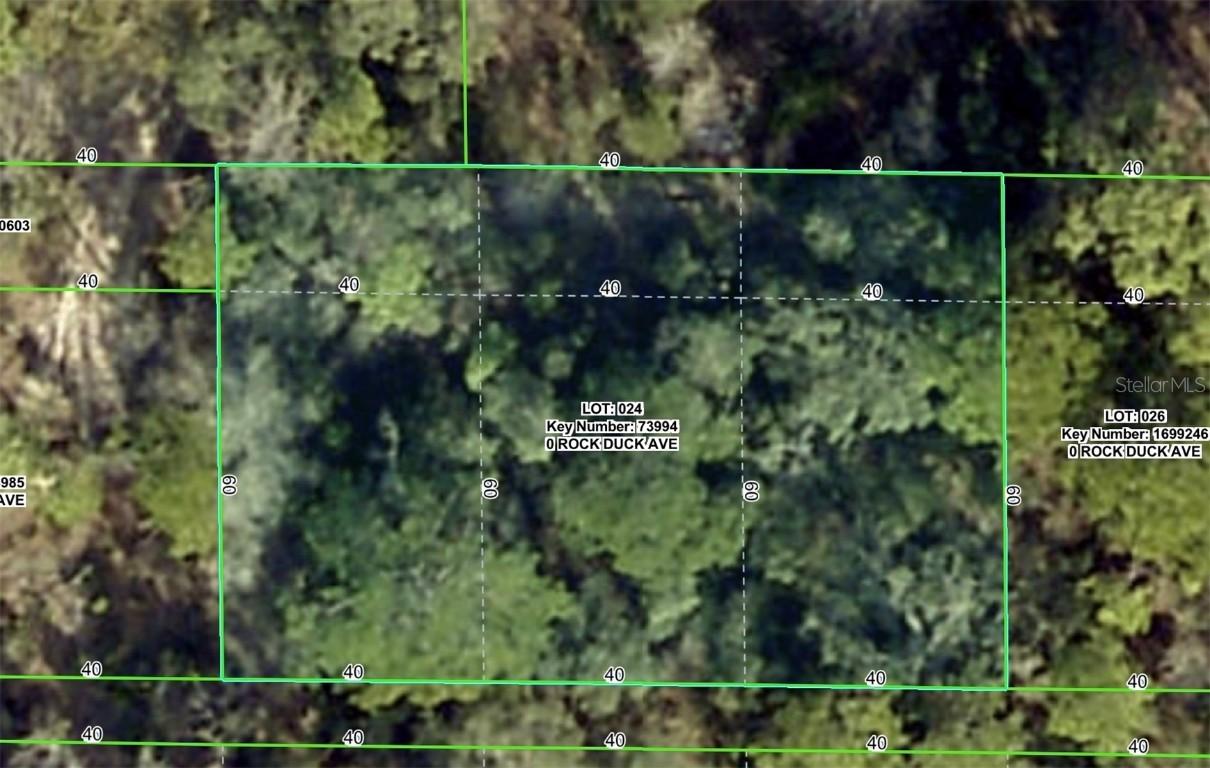 Rock Duck Ave., Brooksville, FL 34614
