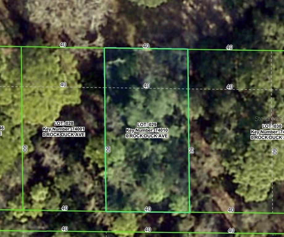 Rock Duck Ave., Brooksville, FL 34614