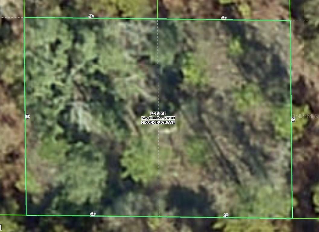 Rock Duck Ave., Brooksville, FL 34614