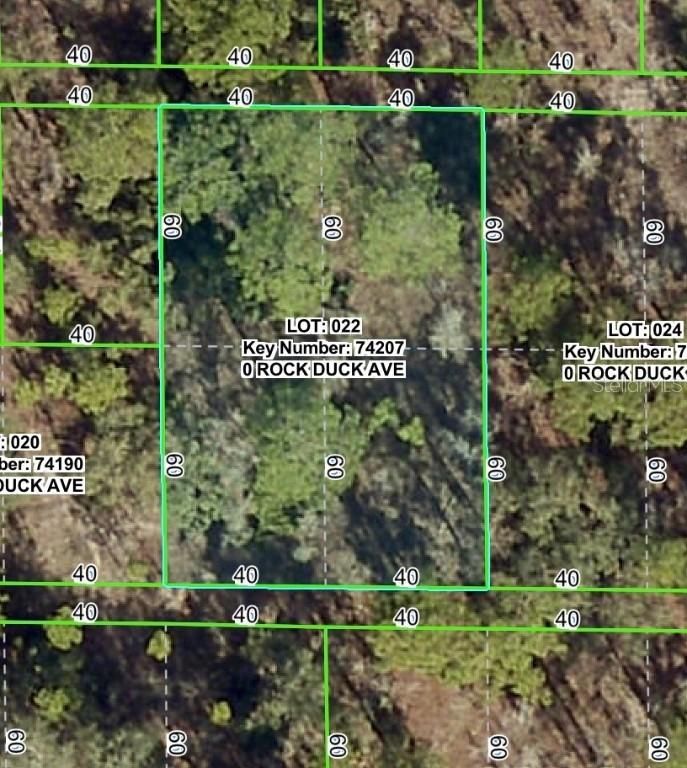 Rock Duck Ave., Brooksville, FL 34614