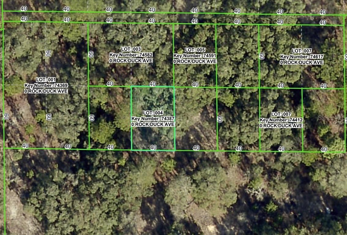 Rock Duck Ave., Brooksville, FL 34614