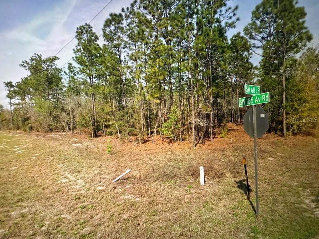 SW 68th Loop, Dunnellon, FL 34432