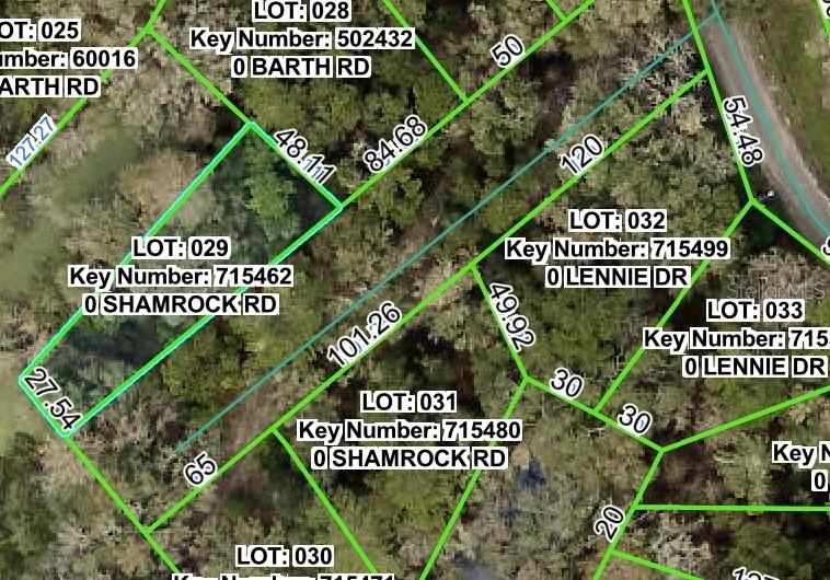 Shamrock Rd., Dade City, FL 33523
