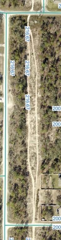 Snowy Plover Ave., Brooksville, FL 34614
