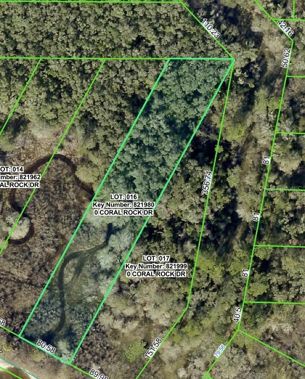 34063 Coral Rock Dr., Webster, FL 33597