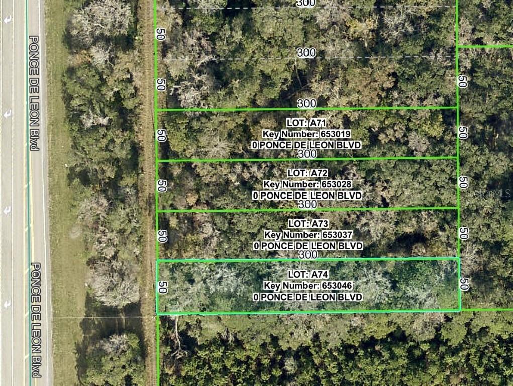 Ponce De Leon Blvd., Brooksville, FL 34601