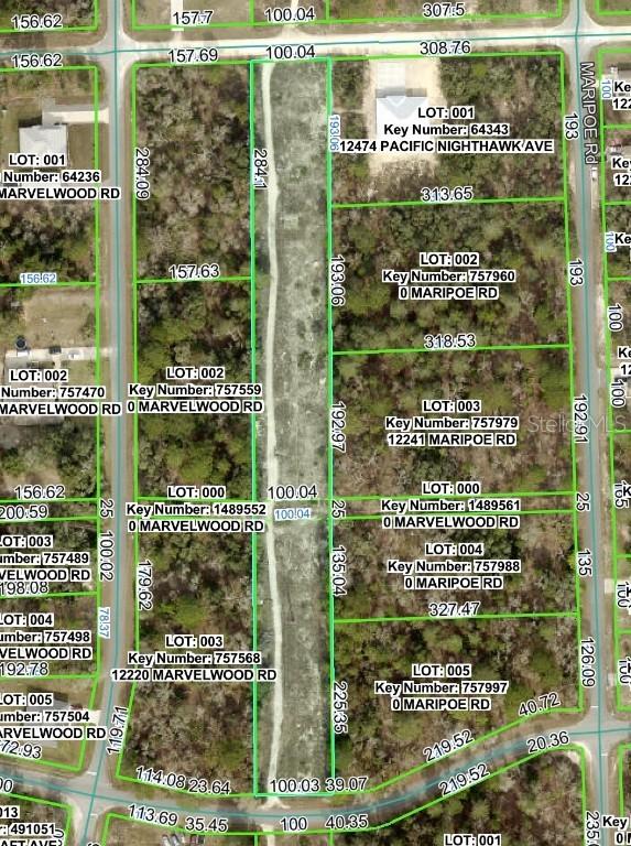 Pacific Nighthawk Ave., Brooksville, FL 34614