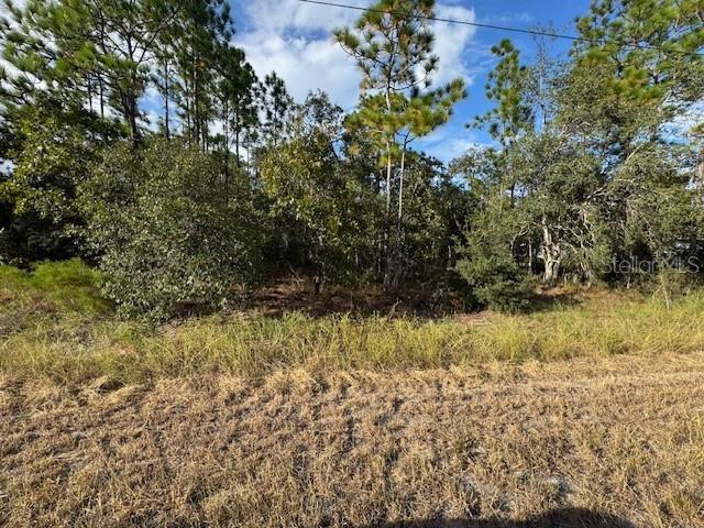 Telescope Ave., Weeki Wachee, FL 34613