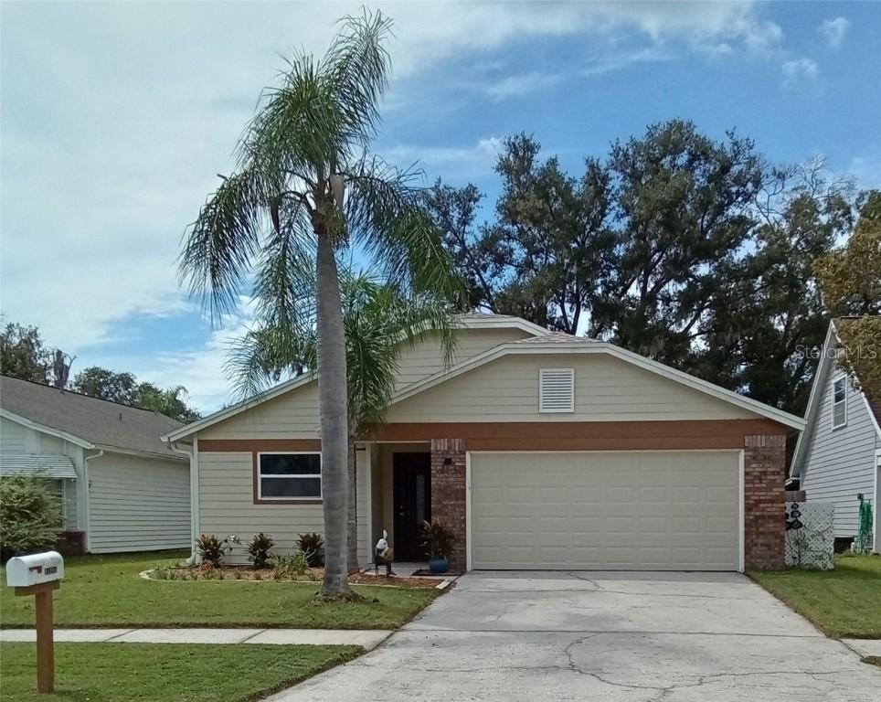 11204 Elmfield Dr., Tampa, FL 33625