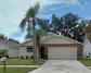 New Construction Homes For Sale This Week in Citrus Park: October 8th to October 14th