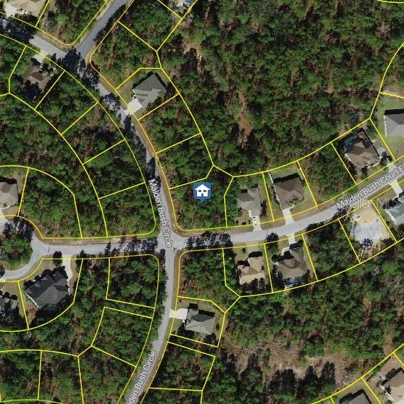 2 Maidenbush Ct., Homosassa, FL 34446