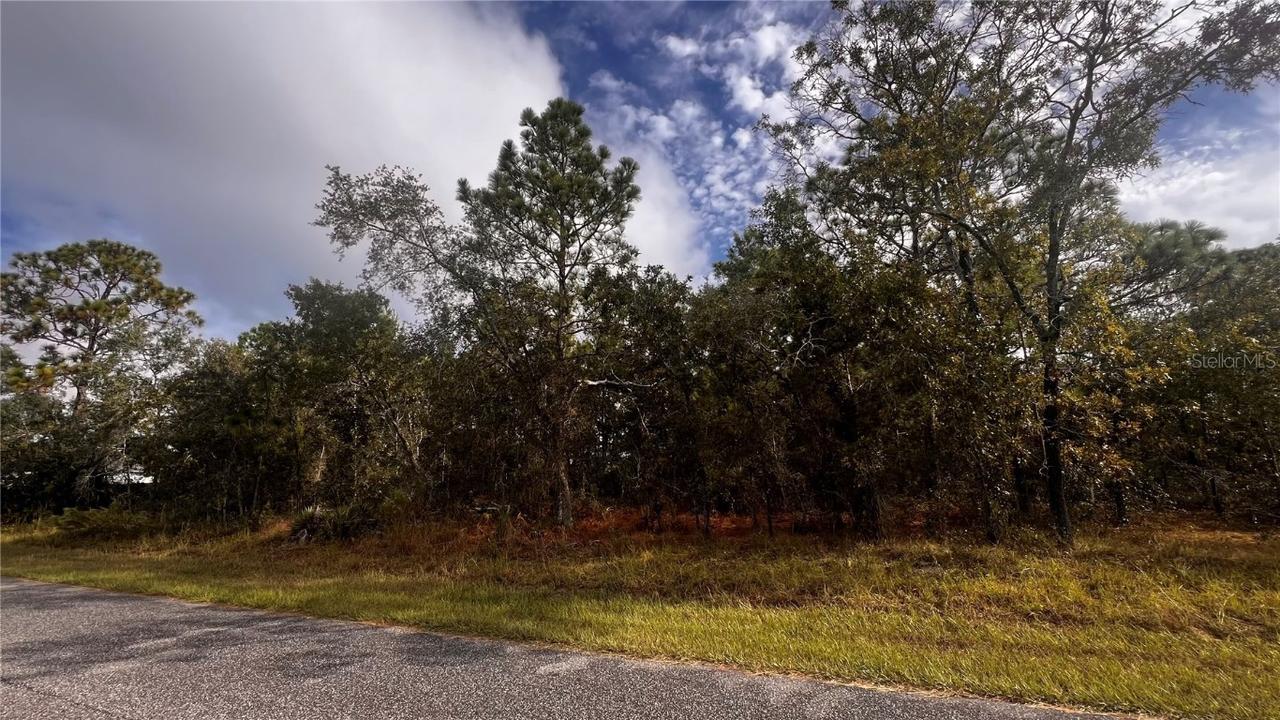 11290 Lapwing Rd., Weeki Wachee, FL 34614