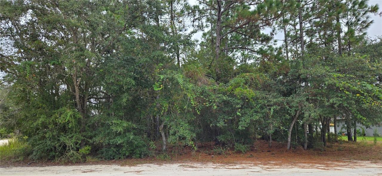 13476 Canada Goose Rd., Brooksville, FL 34614