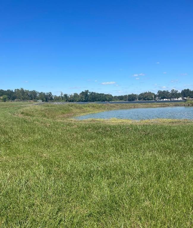Sydney Rd., Dover, FL 33527
