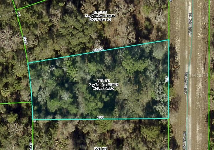 Curlew Rd., Brooksville, FL 34614