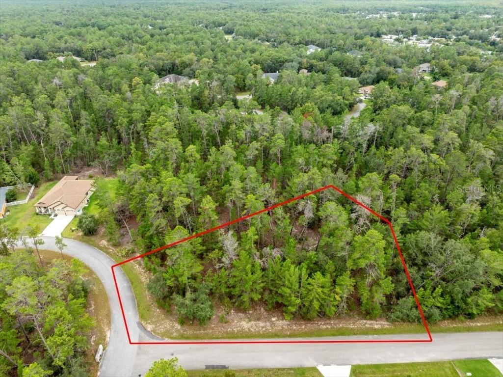 80 Bells Of Ireland Ct., Homosassa, FL 34446
