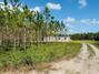 New Homes For Sale This Week in Live Oak: October 10th to October 16th