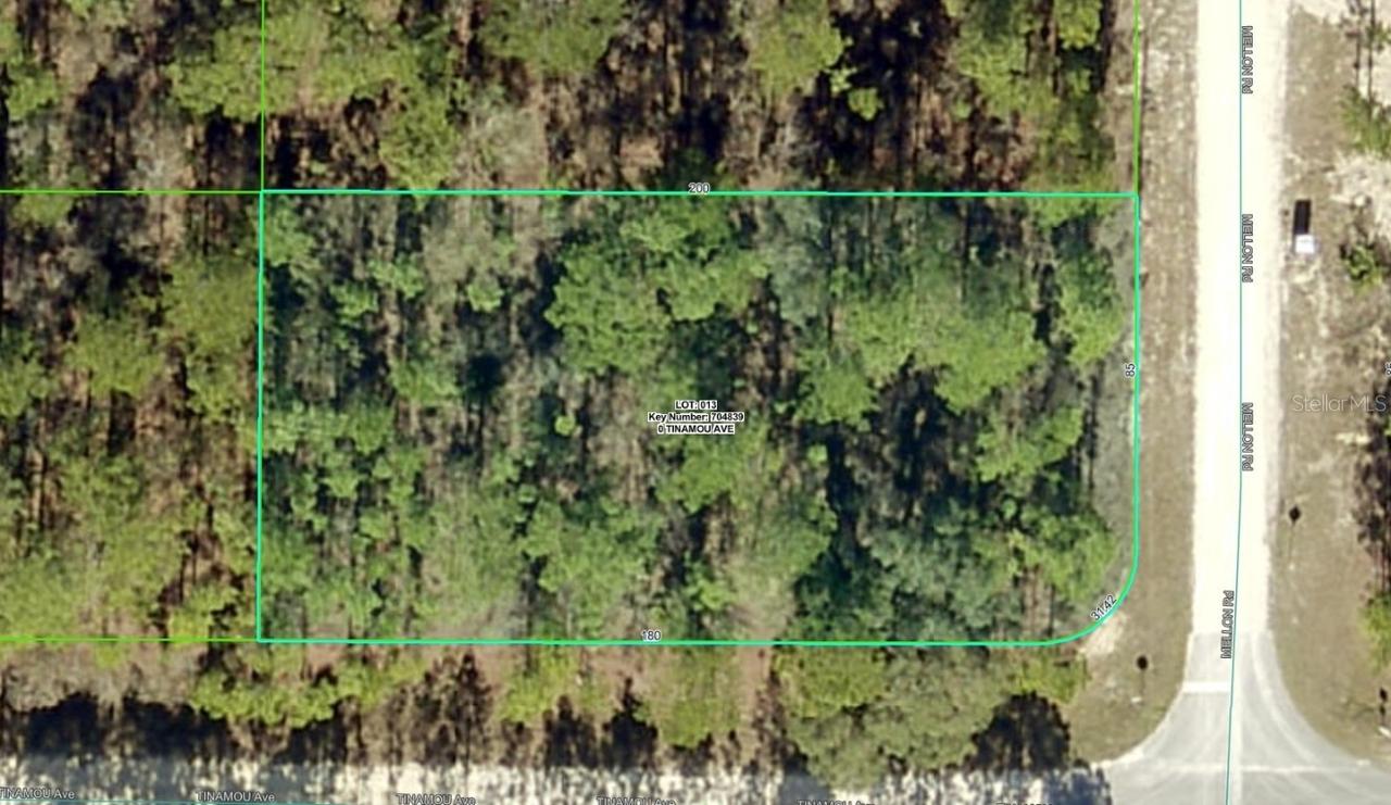 11269 Tinamou Ave., Brooksville, FL 34614