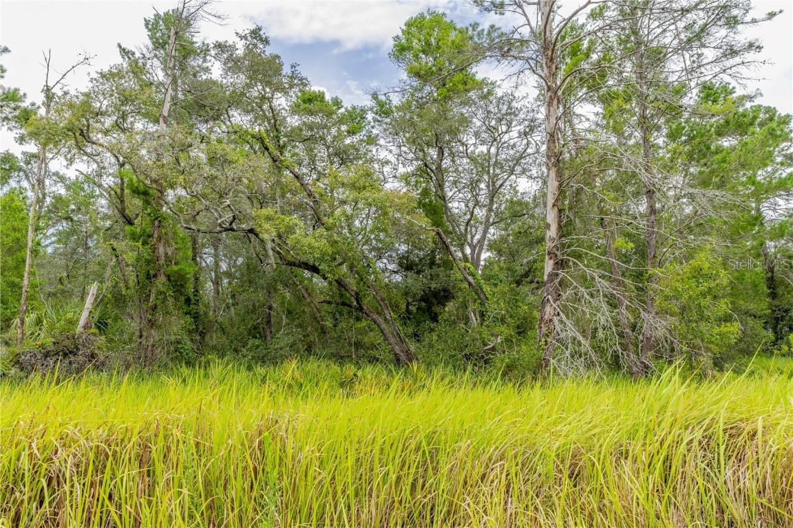 Bahama Swallow Ave. #9, Weeki Wachee, FL 34613