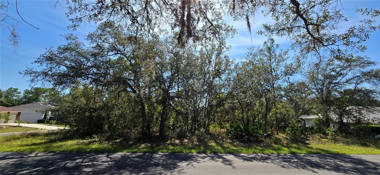 1 Buckeye Ct., Homosassa, FL 34446