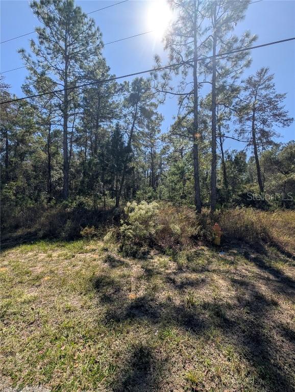 4298 W Alamo Dr., Beverly Hills, FL 34465