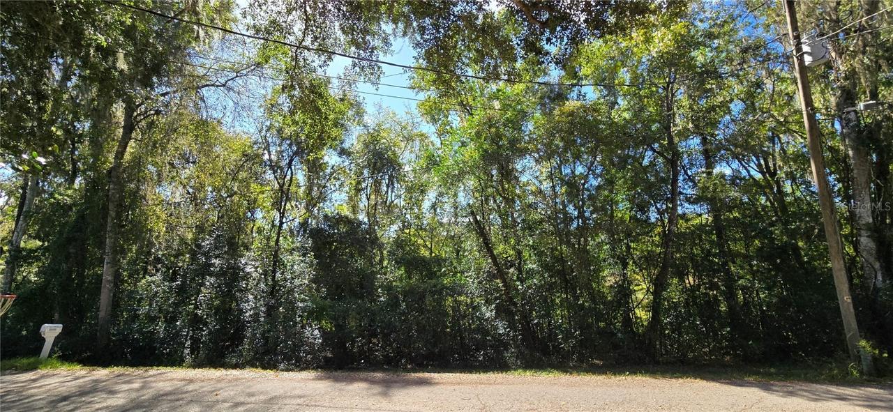 Fitzhugh Ave., Brooksville, FL 34601