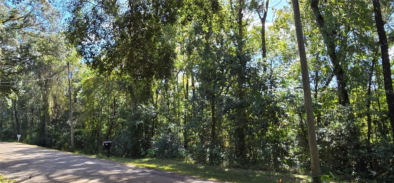 Fitzhugh Ave., Brooksville, FL 34601
