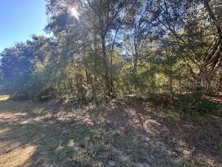 10012 N Athenia Dr., Citrus Springs, FL 34434