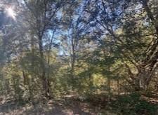 10014 N Athenia Dr., Citrus Springs, FL 34434