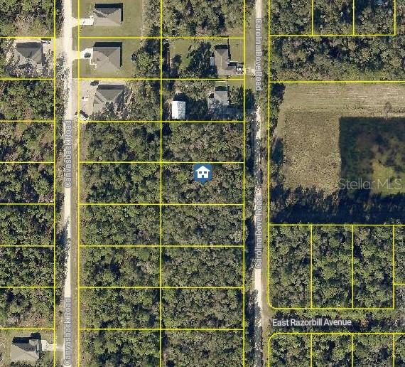 LOT 1021 Carolina Dove Rd., Brooksville, FL 34614