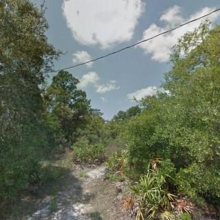 Hedges St., New Port Richey, FL 34654