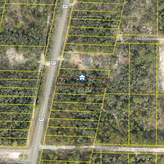 LOT 28 Treiman Blvd., Webster, FL 33597