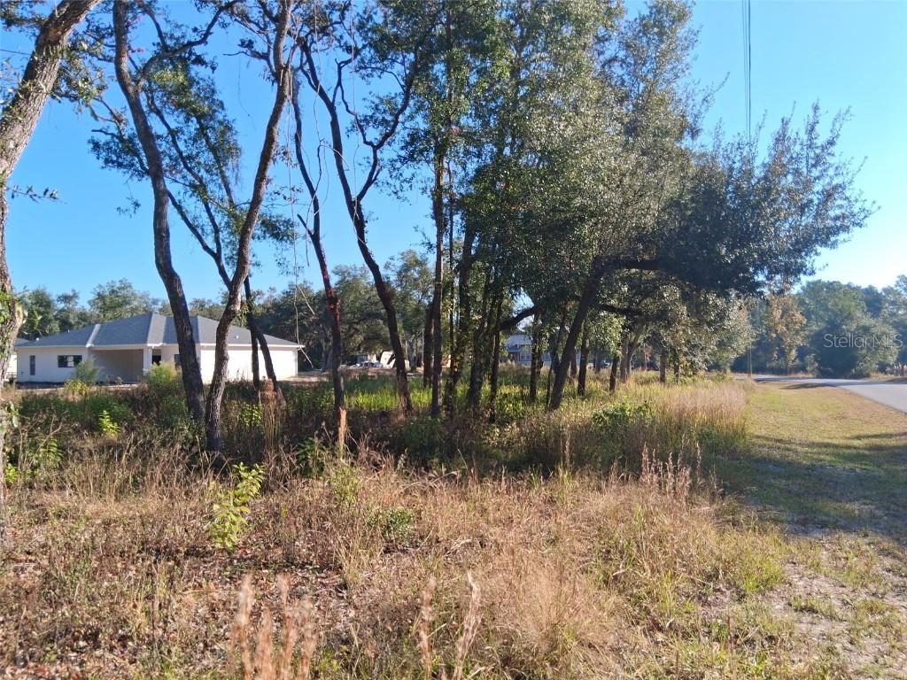 August Ave., Webster, FL 33597